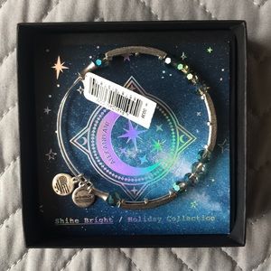 Alex and Ani Twilight Glacial Bangle